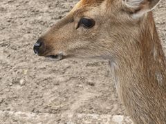 -山西乌金山旅游区