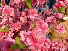 -辽阳弓长岭温泉滑雪场