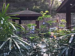 -韶关经律论国际酒店温泉