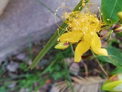 -九江市周敦颐纪念馆