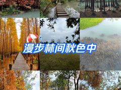 -桤木河湿地公园