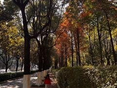 -广州保龄球馆(广州天河体育中心店)