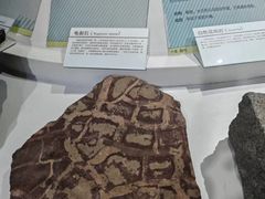-中国第四纪冰川遗迹陈列馆