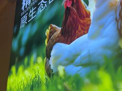 -鹏鹏虾庄·创新土鸡火锅(坪山高铁站店)