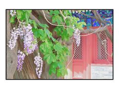 -北京国子监胡同