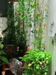 -新龙门刺青·纹身