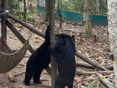 -关西瀑布
