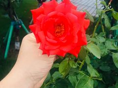 -钱江新城灯光秀