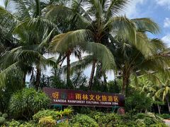 -呀诺达热带雨林