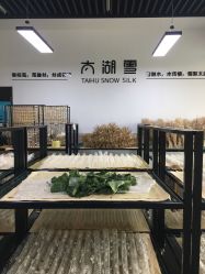 点击看大图 -太湖雪蚕桑文化园