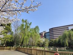 -玉山公园