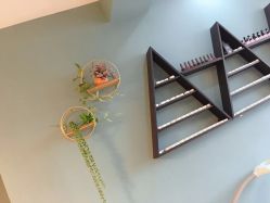 -YOUNGSKIN氧研皮肤管理中心