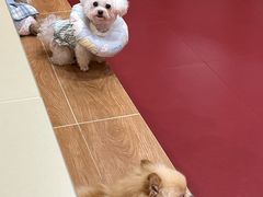 -和它·交个朋友·狗咖猫咖(爱琴海店)