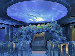 -陕西自然博物馆