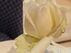 -COVA(环贸iapm店)