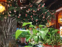 -蠔友汇(皇姑店)