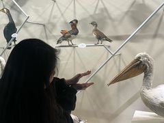 -中国湿地博物馆