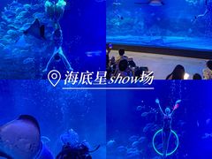 -烟台海昌鲸鲨海洋公园