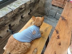 -夹夹大·蟹蟹大排档(财富又一城店)