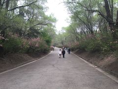 -北山公园