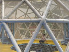 -中国宋庆龄青少年科技文化交流中心