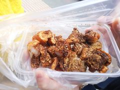 -脆皮五花肉(建东街旗舰店)