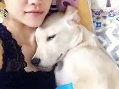 -米苏动物医院·犬猫专科·骨科外科内窥镜