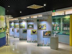 -上海昆虫博物馆