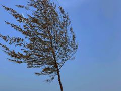 -白沙门生态公园