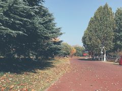 -济南国际园博园