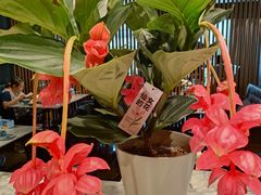 -懒人盐府人家(航天桥店)