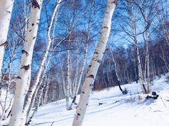 -长白山华美胜地滑雪场
