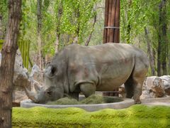 -北京野生动物园