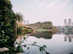 -重庆彩云湖湿地公园