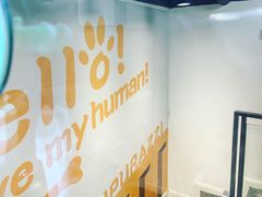 -帕帕拉兹宠物(亚洲旗舰店)