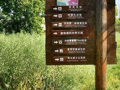 -田园东方蜜桃村的田野营地