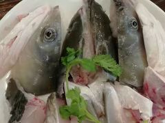 -正能量脆肉鲩火锅