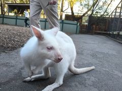 -费瑟代尔野生动物园