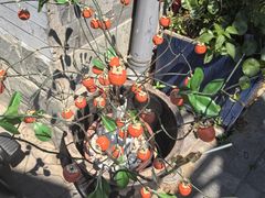 -碰瓷儿陶艺DIY体验馆(五道营胡同总店)