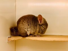 -龙猫仔乐园(惠福东路店)