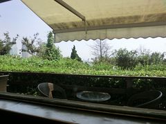 景观位-向日葵咖啡