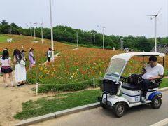 -沈阳植物园