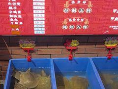-状元甲·湖北甲鱼大王(汉口火车站店)