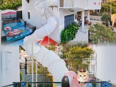 -广州市流溪河国家森林公园