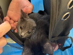 -爱派特动物医院·全科诊疗中心