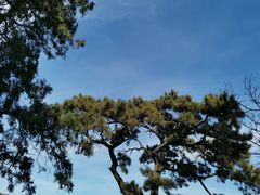 -香山公园