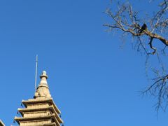 -北京石刻艺术博物馆(五塔寺)
