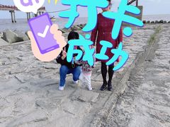 -碧海金沙