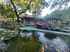 -白家大院·王府宫廷菜(苏州街店)