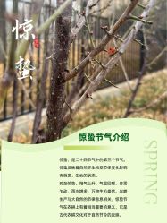 -宝馨月月子中心(友谊医院店)